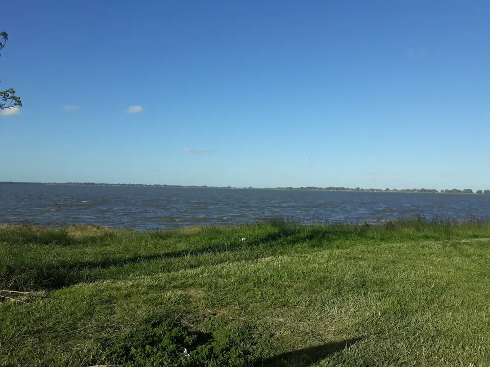 La laguna de Chascomús frente a Alma Pampa, con el pasto en primer plano y el cielo azul.