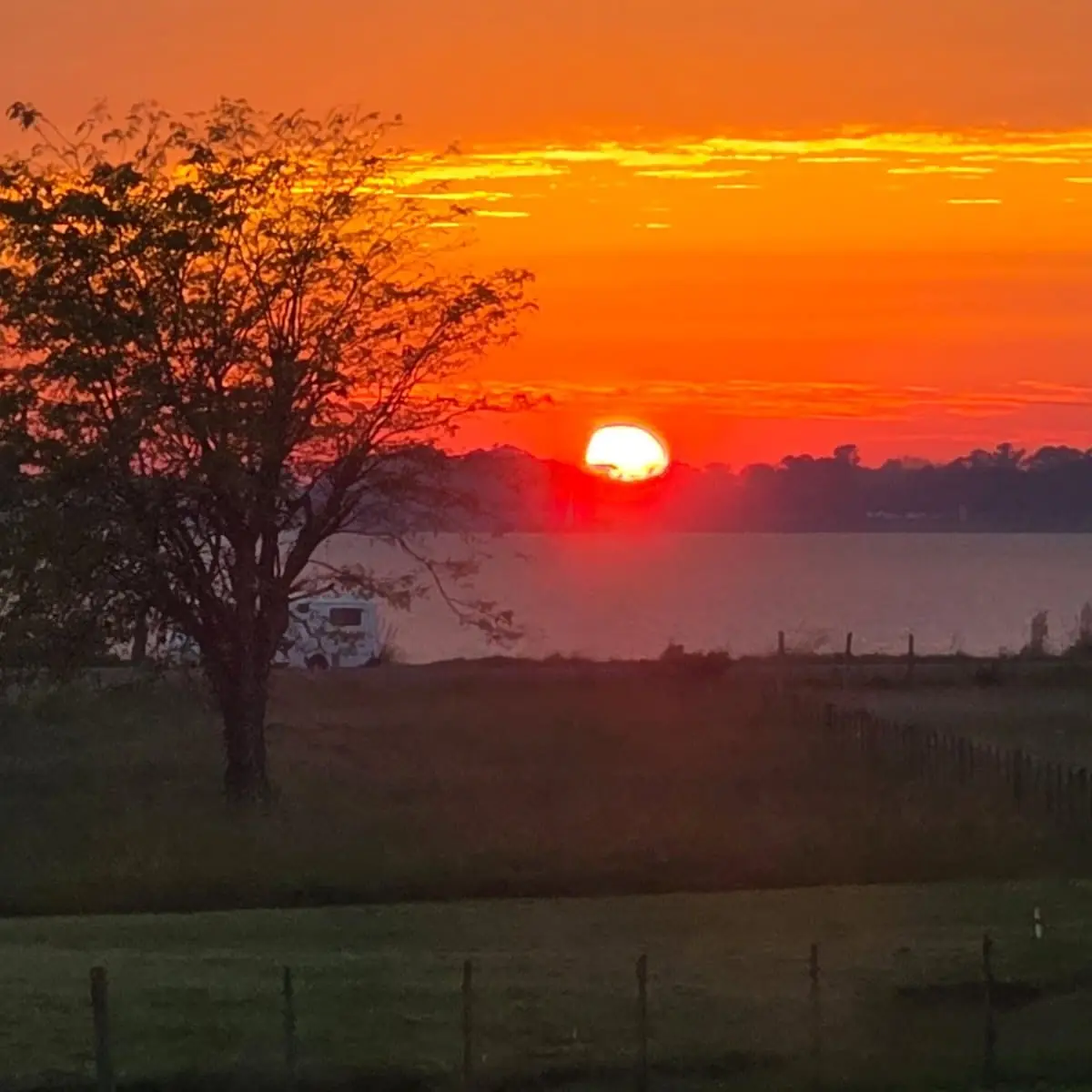 El sol que se pone, rojo, detrás de un árbol, con la laguna al fondo.