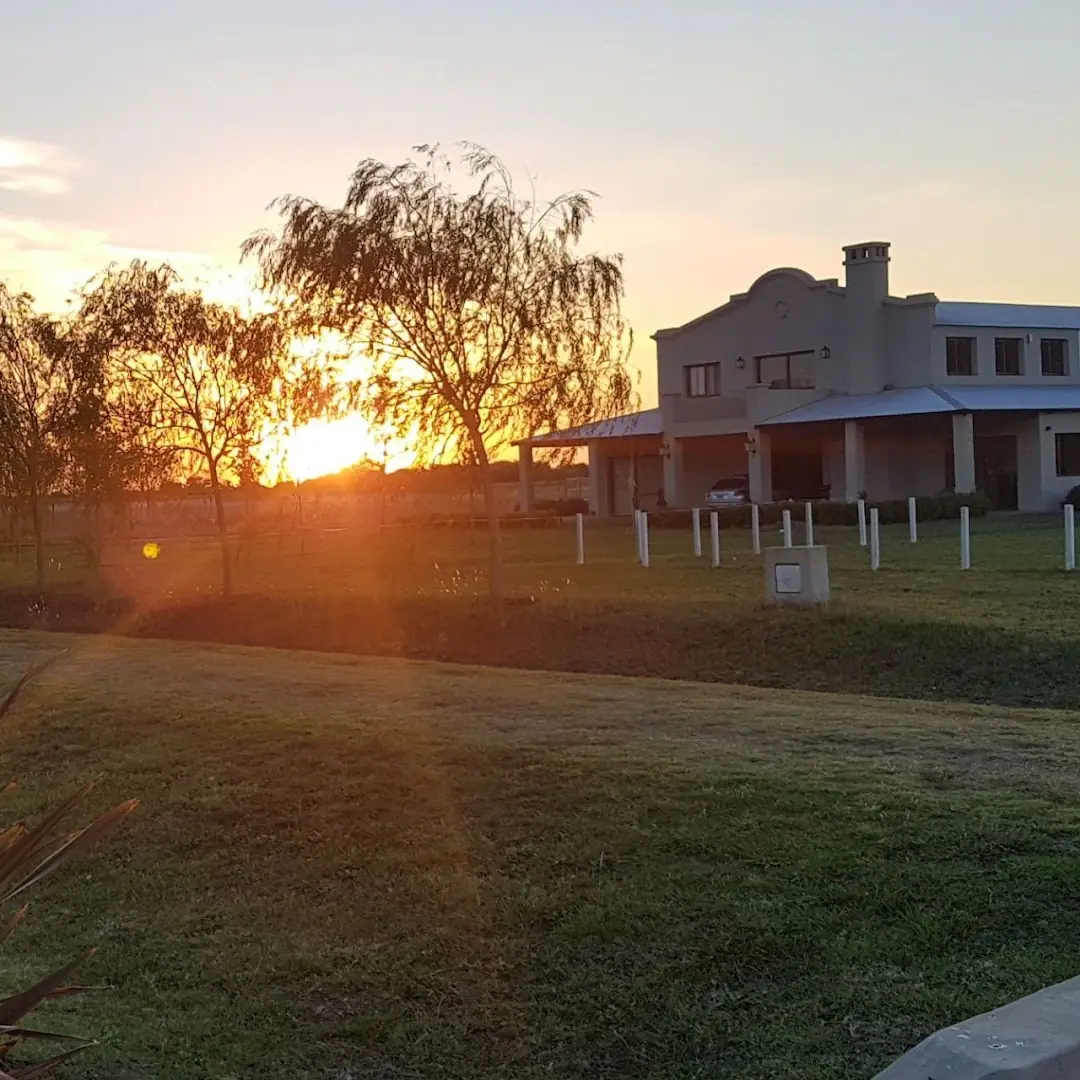 El sol bajo entre los sauces.